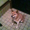 2005-11-11 22:38:40