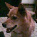 2005-11-05 13:48:08
