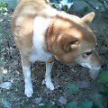 2005-11-25 19:36:00