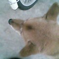 2005-12-04 23:19:34