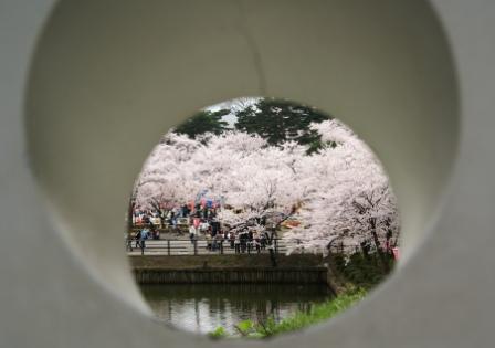 DSC01113.JPG