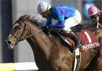 スプリングS フライングアップル