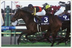 ドリームジャーニー