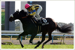 タスカータソルテ