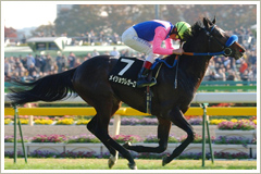 メイショウレガーロ