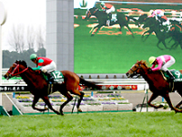 京都金杯マイネルスケルツィ