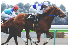 ダイワスカーレット