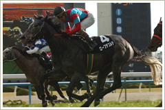 ローブデコルテ