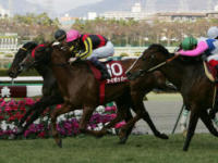 阪神大賞典 アイポッパー