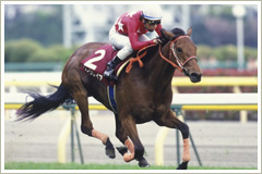 11番ベッラレイア