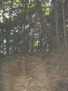 清掃登山5