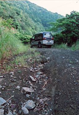 大鎌椎平林道