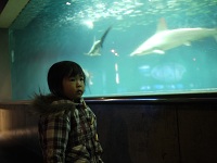 201101葛西臨海公園けこ水族１.jpg