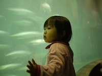 201101葛西臨海公園けこ水族3.jpg