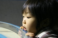 201101葛西臨海公園おじ7水族.jpg