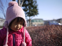 2011 1 21公園2.jpg