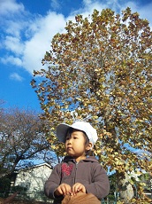 otiba5.jpg