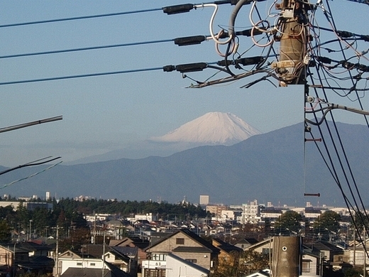 電線の除去-E.jpg