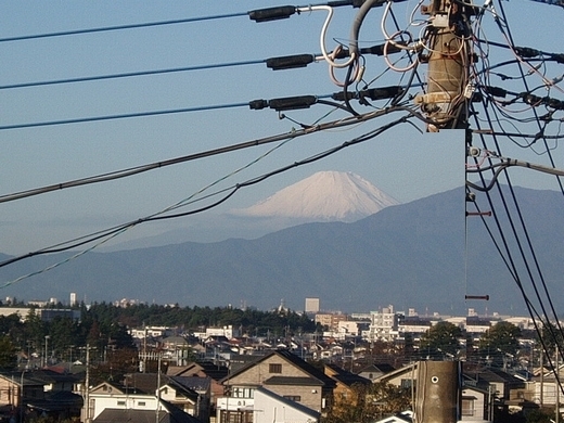 電柱の除去-E.jpg