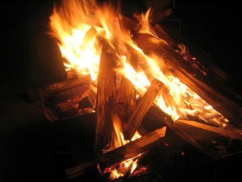 2006110804.jpg