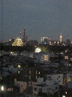 おまけの夜景.jpg