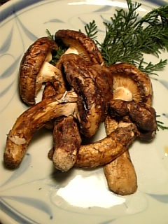 １．焼きマツタケ.jpg