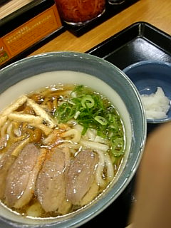 鴨おろしうどん.jpg