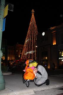 コピー ～ IMG_3356.JPG