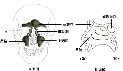 fukubikuuen.gif