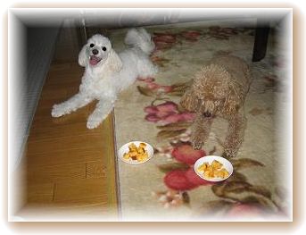 IMG_1544.JPG