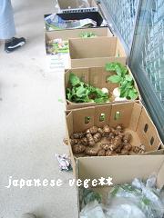 隔週の日本野菜販売