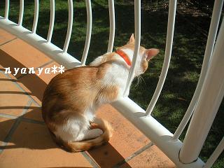 お気に入りの場所