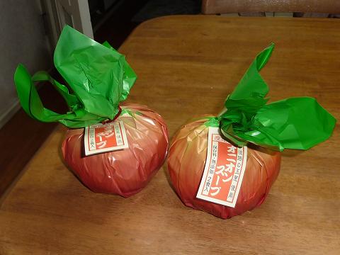 東北祭り23年8月30日 338h.JPG