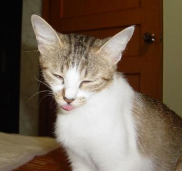 20071029-4