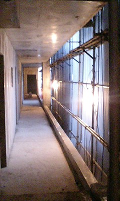 王子神谷躯体071112.jpg