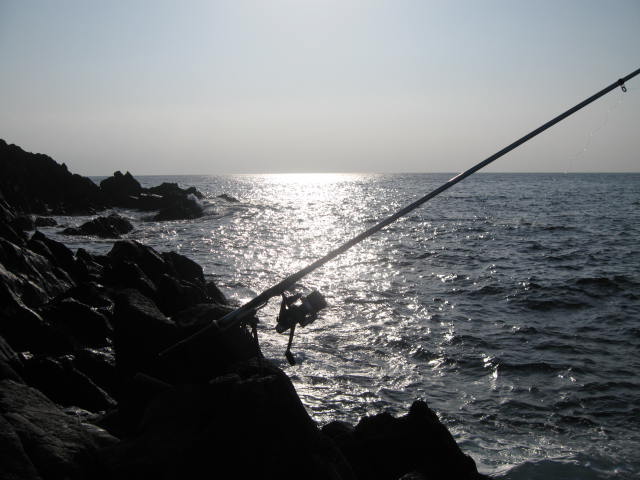 屋久島の磯釣り
