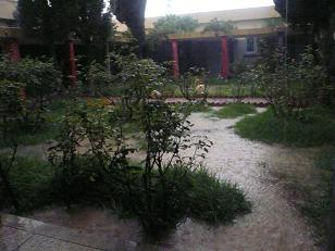 P1090971.JPG