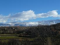 P1100533.JPG