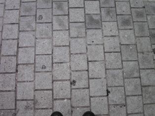 引っかけ橋原点。