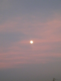夕方の月