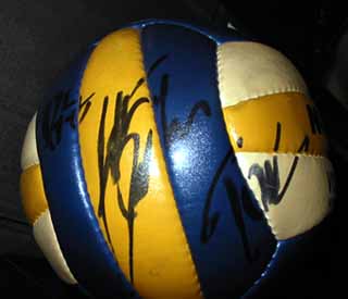 田賀 バレーボール 左