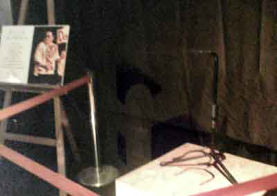 サマソニ09 エアギター