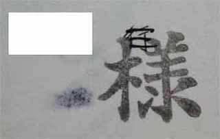 シェーン返事 2