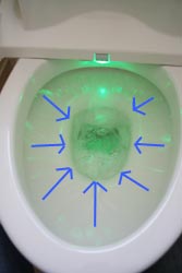 ２階トイレの洗浄.jpg
