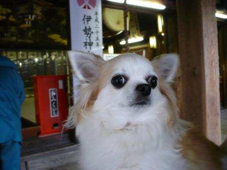 お参り～☆