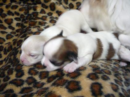 zzz～(*^^)ｙ～♪