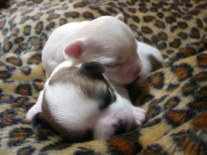 一緒～暖かいです(^_^;)