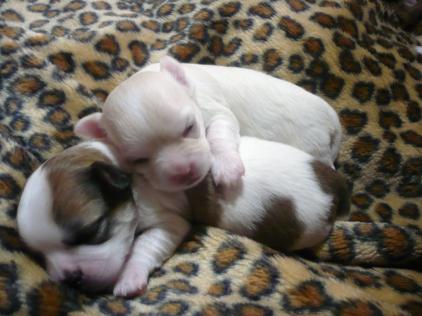 女の子：(#^.^#)ｙふぁ～ｚｚｚ～ＺＺＺ～♪