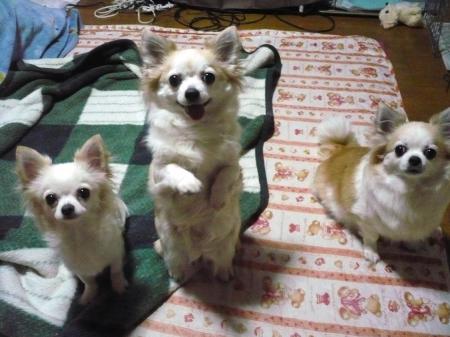 イチゴ：お待たせで～す(^^♪