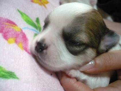 男の子です＼(^o^)／